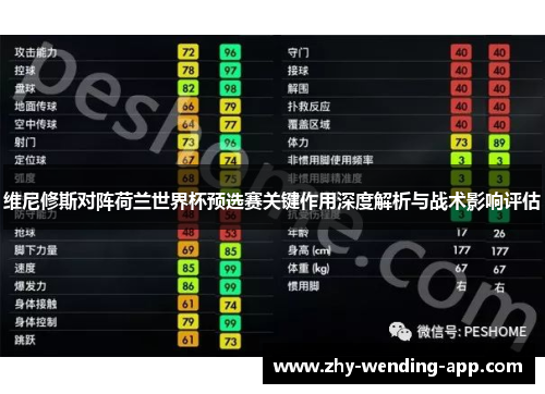 维尼修斯对阵荷兰世界杯预选赛关键作用深度解析与战术影响评估 维尼修斯对阵荷兰世界杯预选赛关键作用深度解析与战术影响评估