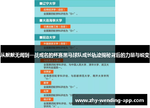 从默默无闻到一战成名的杯赛黑马球队成长轨迹揭秘背后的力量与蜕变